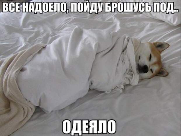 Смешные анекдоты для хорошего настроения (12 шт)
