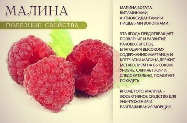 9 самых полезных продуктов для всего организма
