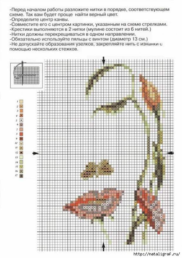 4045361_552a6f91e6139a6a3839f87ea9a15d90 (495x700, 221Kb)