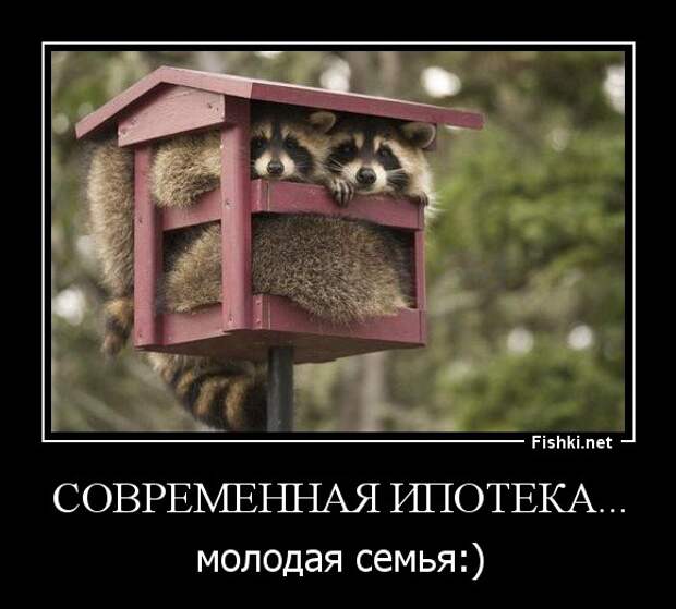 Подборка демотиваторов демотиваторы, юмор