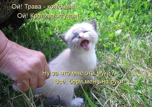 image (700x493, 471Kb)
