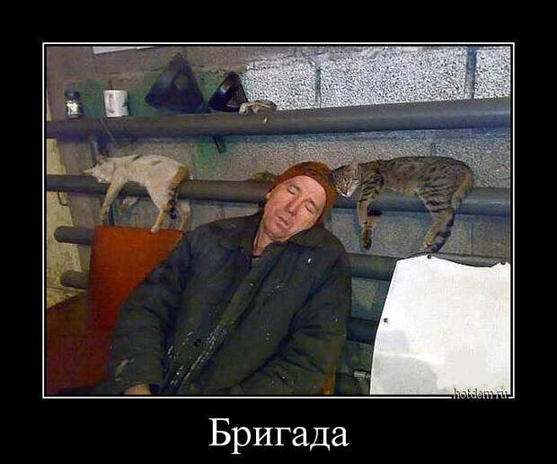 Пятничная подборка демотиваторов демотиваторы, юмор
