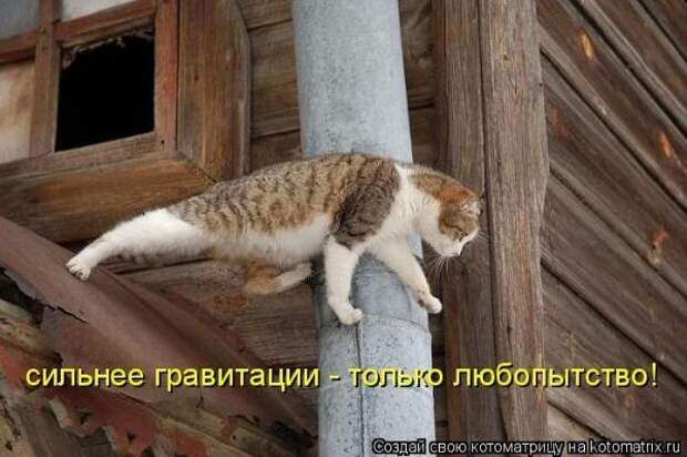 Котоматрица Котоматрица