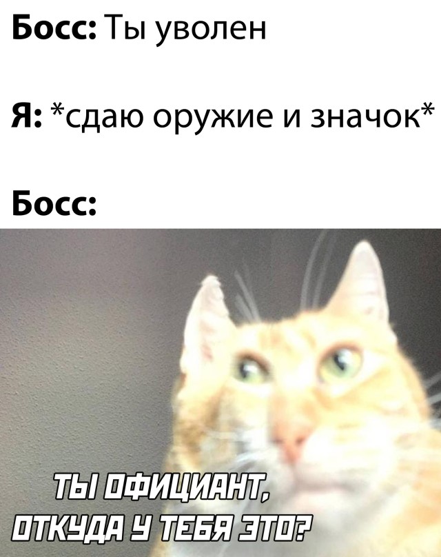 Смешные картинки 4 января 2021 года