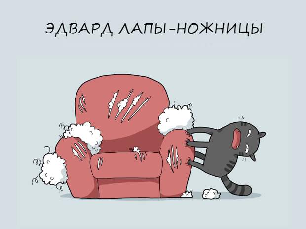 crazycat02