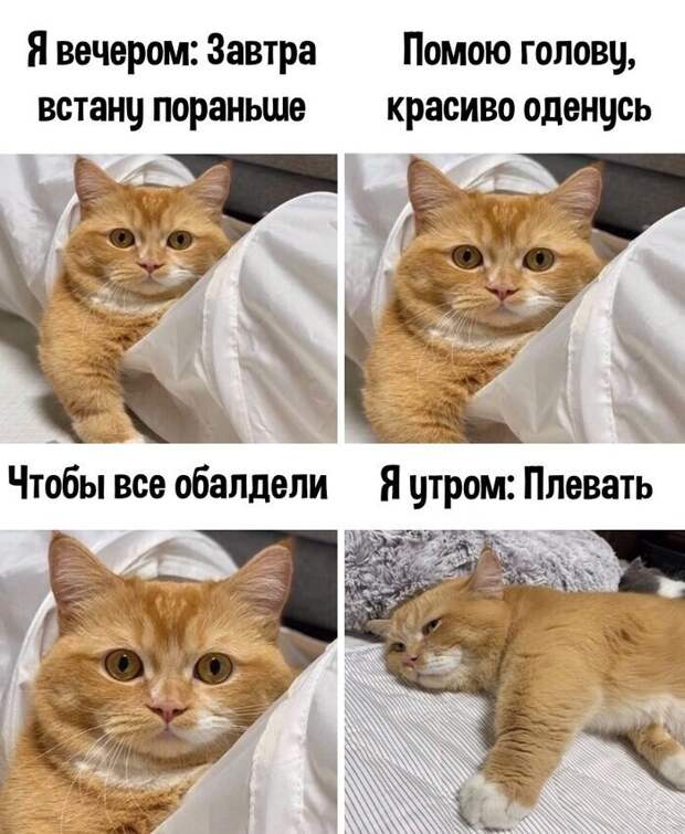 Признавайтесь, со всеми же так было? Признавайтесь, со всеми же так было?