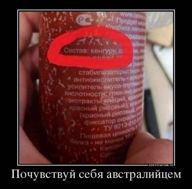 Демотиваторы-приколы (12 шт)