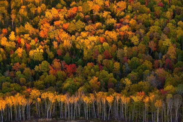 10 осенних фотографий, которые стали хитами в блогах fall02 10 осенних фотографий, которые стали хитами в блогах