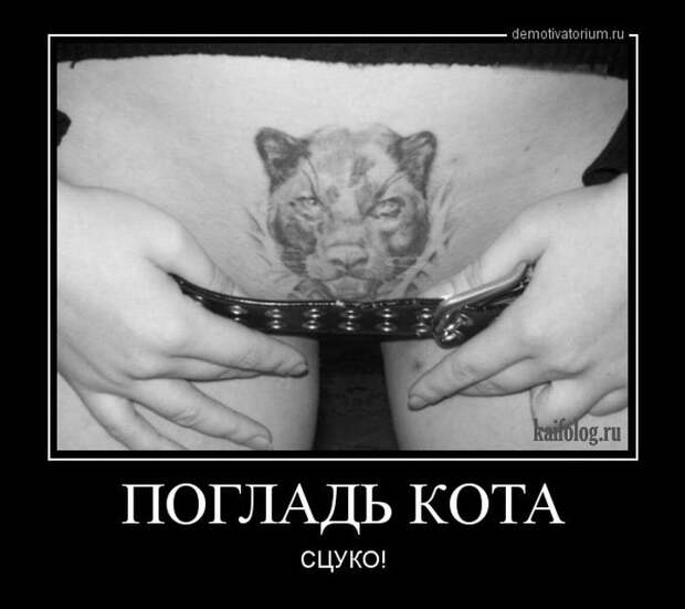 Демки - 266 (45 штук)