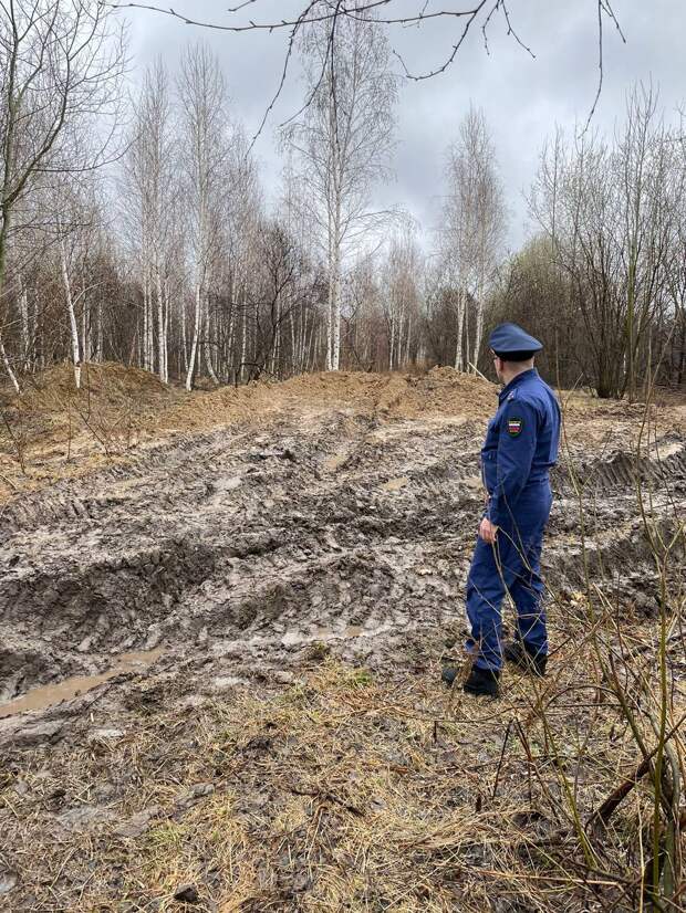 Скотомогильник около жилых домов нашли в Новосибирской области
