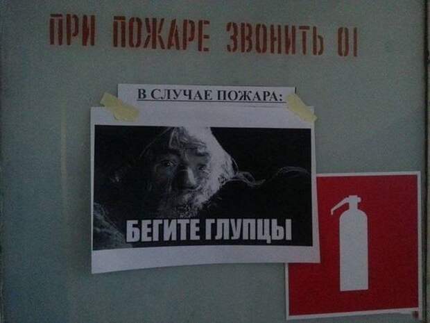 Смешные картинки с подписями  картинки, прикол, юмор
