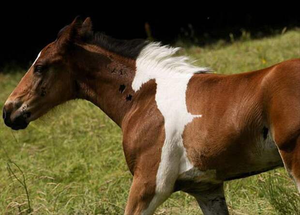 Interesting-Images9