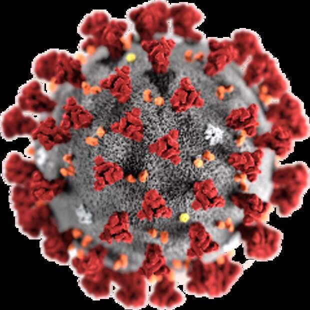 SARS-CoV-2 - формальный виновник пандемии