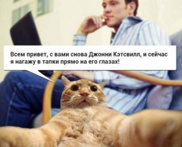 Краткий экскурс по истории интернет-мемов Краткий экскурс по истории интернет-мемов