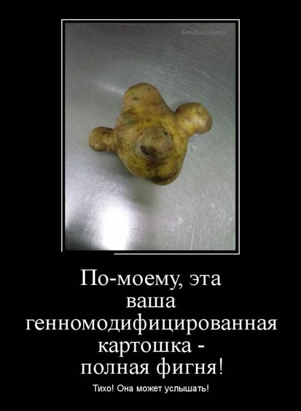 Демотиваторы демотиваторы, прикол, смех, юмор