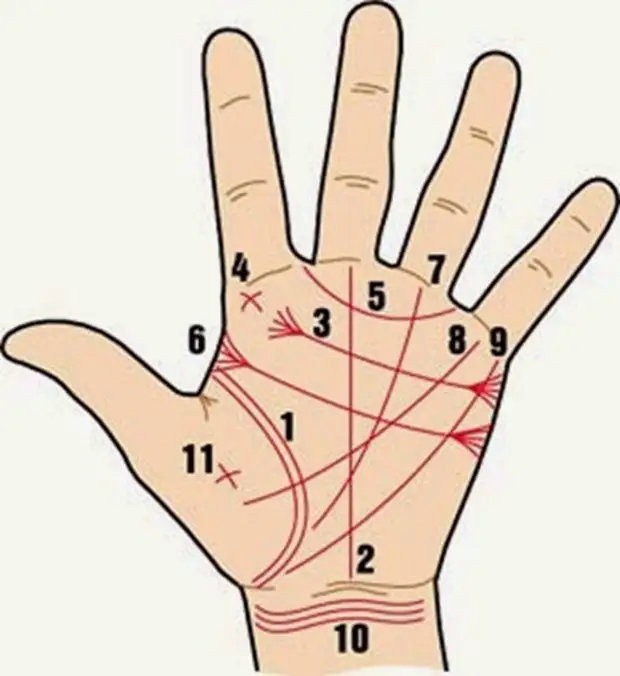Линия счастья. Хиромантия линия удачи. Хиромант линия жизни на руке. Нади Грандха хиромантия. Знаки на линиях ладони.