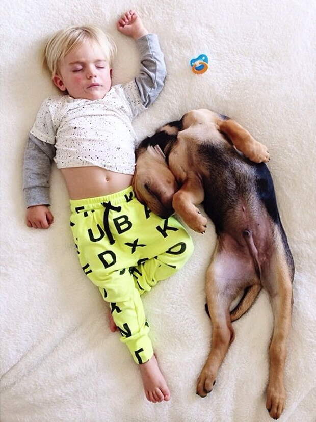 Мальчик Бо и щенок Тео