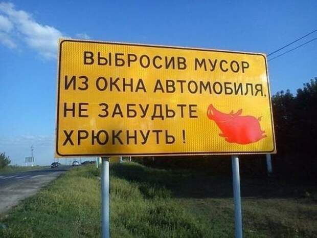 Смешные картинки с надписями прикол, юмор