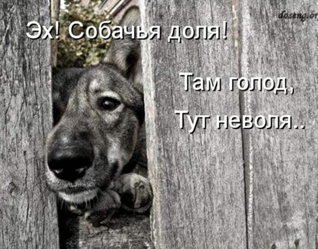 3a675f2b8276a7fb305fc7f0e94_prev