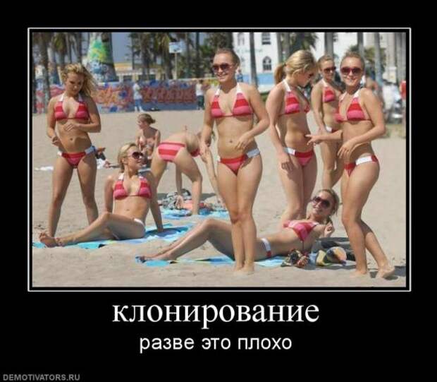 Подборка новых демотиваторов)