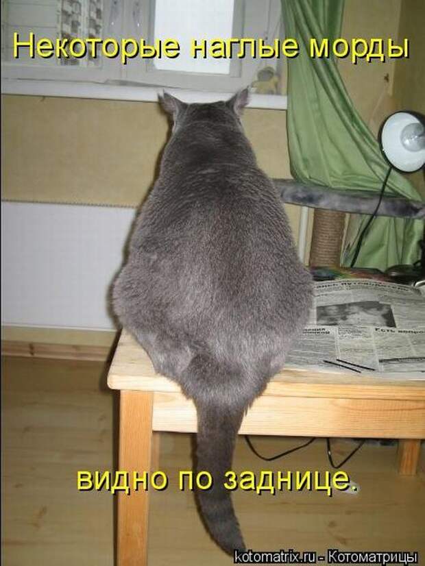 Мысли вслух :)