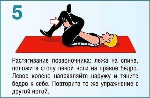 Укрепляющая тренировка для мышц спины и пресса факты