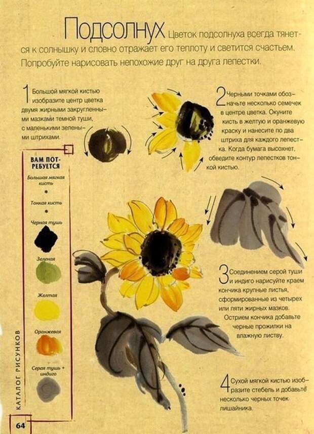 как рисовать подсолнух