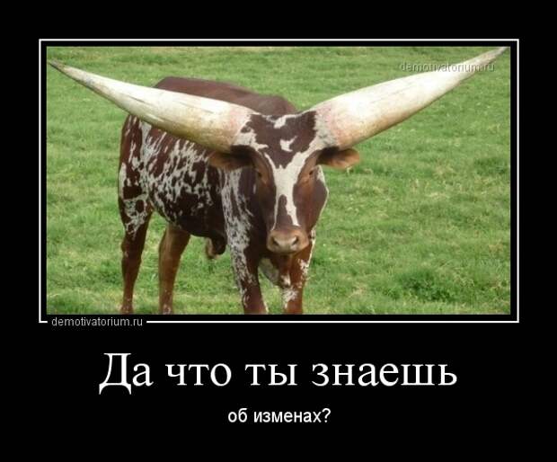 Демотиваторы демотиваторы, прикол, смех, юмор