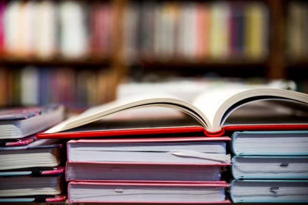 В Британии учителя заподозрили в терроризме из-за видео с Трампом