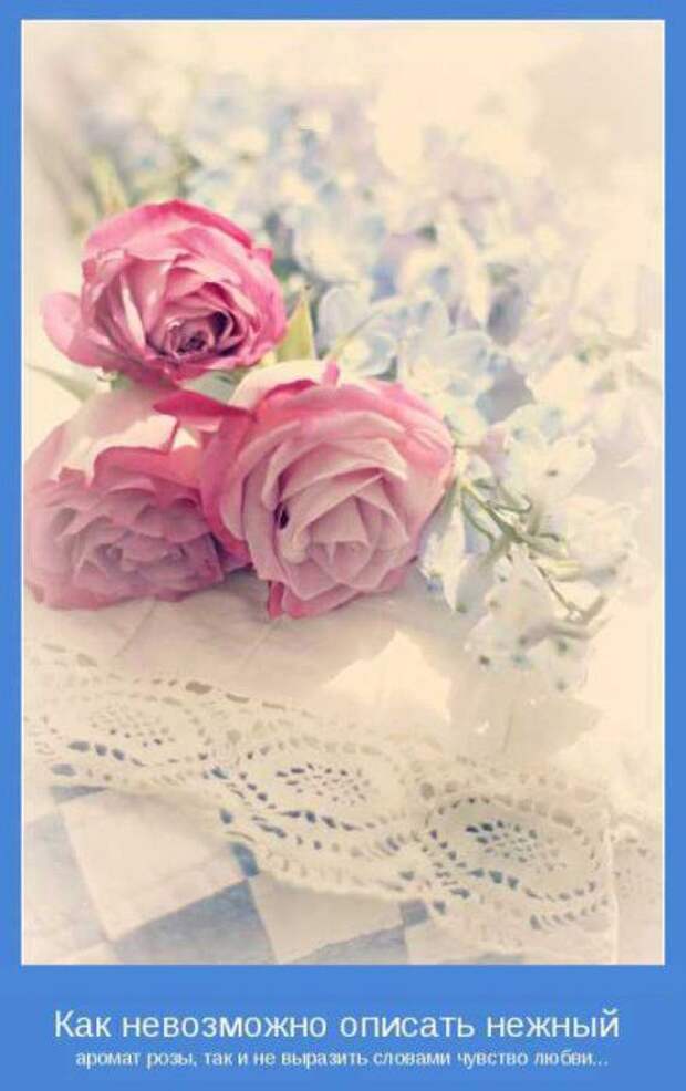 Мотиваторы