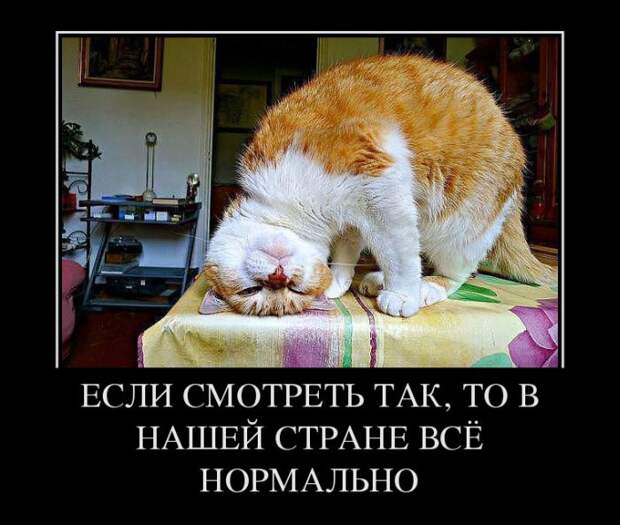 Демотиваторы (30 фото) Демотиваторы (30 фото)