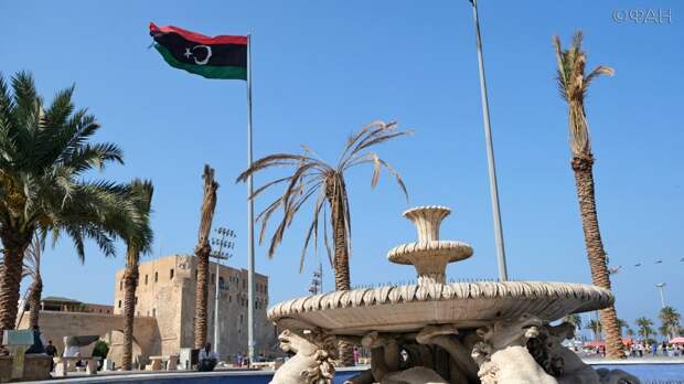 МИД Алжира осудил вмешательство Турции в дела Ливии