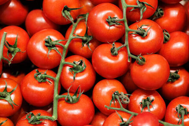 Больше 20 тонн турецких томатов вернулись обратно на родину