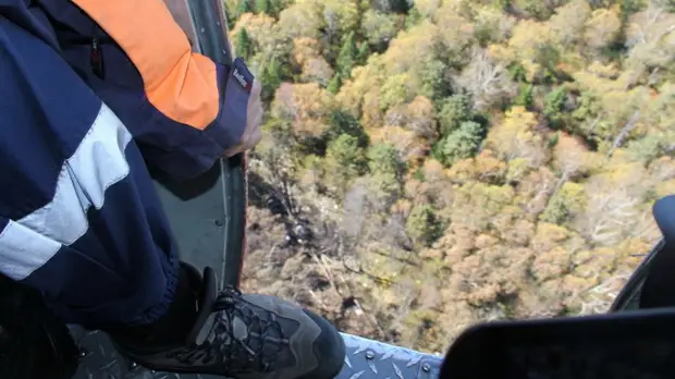 ТАСС: все находившиеся на борту упавшего Ан-26 в Хабаровском крае погибли