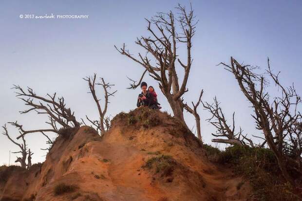 everlookphotography9