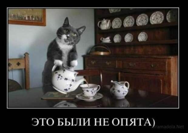 Подборочка смешных демотиваторов.