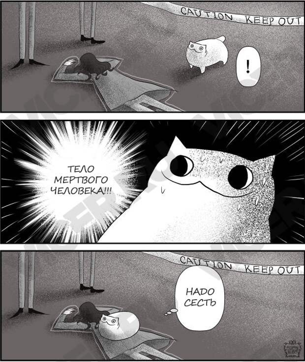 кошачья логика (2)