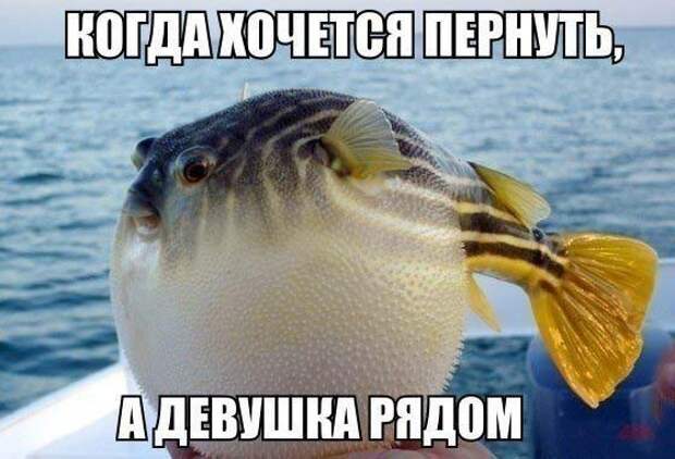 Без политики и прочей фигни, просто позитив демотиваторы, факты, юмор