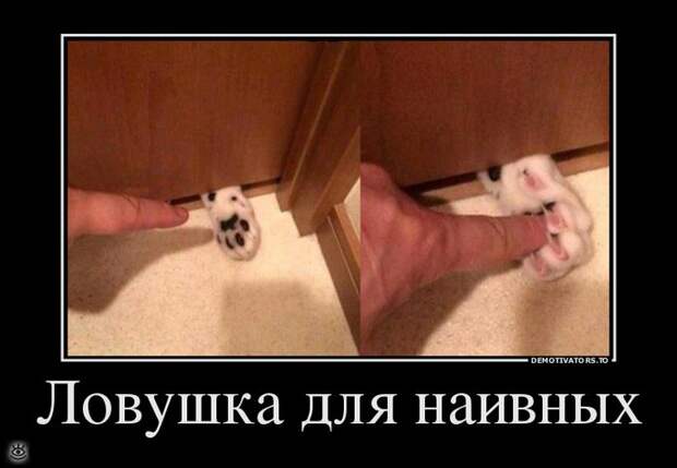 Настраивайся на положительные эмоции! 5