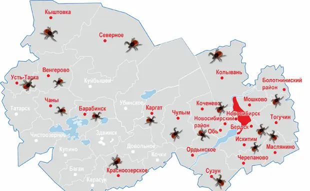 Карта клещевого энцефалита в подмосковье