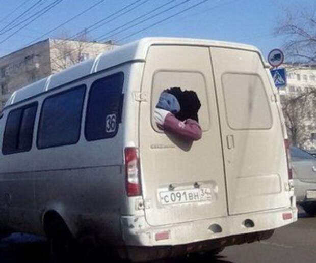 Наша раша (29 фото) Наша раша (29 фото)