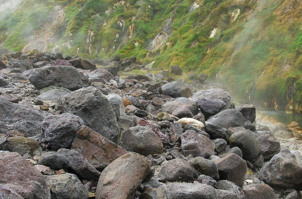 Камчатка, которую я люблю камчатка, красота, фото