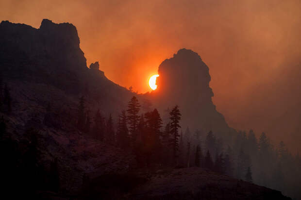 Дым от огня Калдора в национальном лесу Эльдорадо в Калифорнии