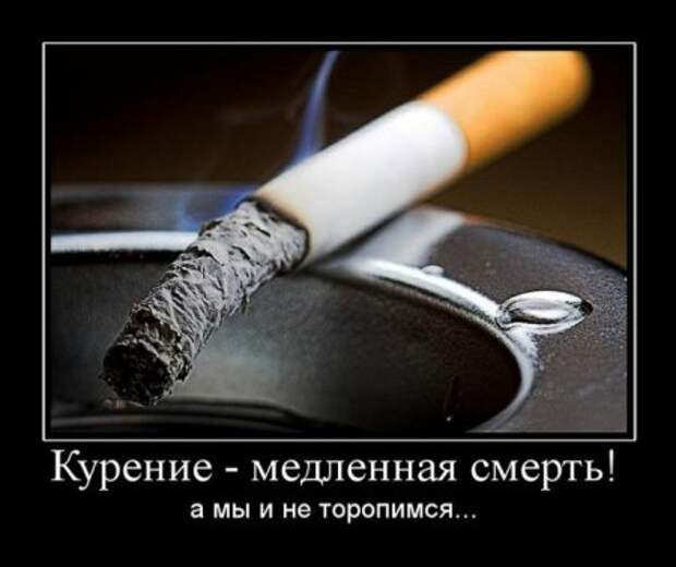 Убойные демки недели.