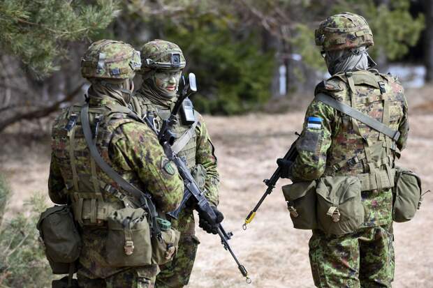 Министр обороны Певкур: Эстония отправит в Гренландию до 10 военных