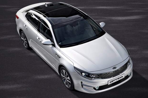 optima (1).jpeg