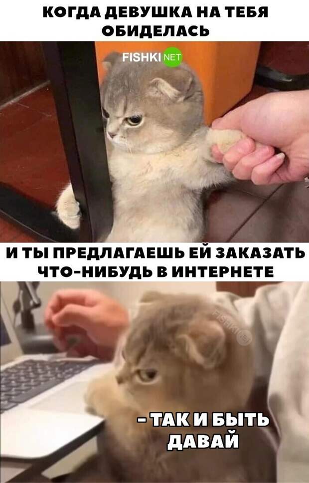10. Все девушки одинаковые - факт 10. Все девушки одинаковые - факт