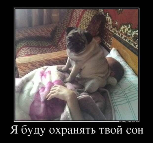 Свежий сборник демотиваторов (12 шт)