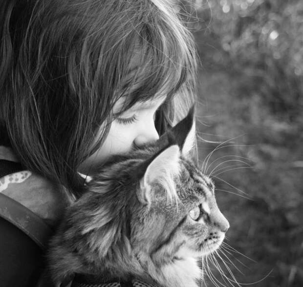 5-летняя девочка аутист и ее терапевтическая кошка Тула айрис грейс  (3)