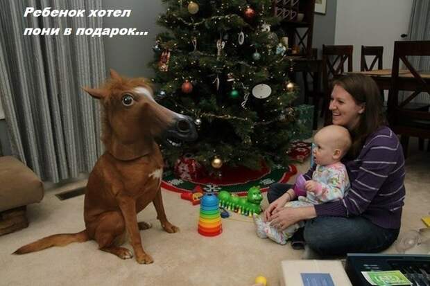 Фотоприколы кучей